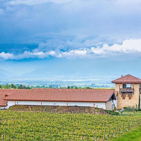 Chateau Mosmieri Hotel & Winery تأيلافي المظهر الخارجي الصورة