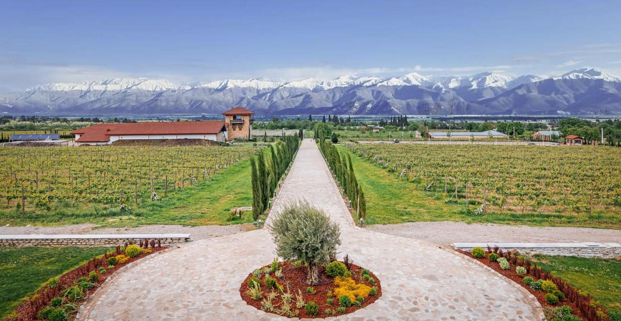 Chateau Mosmieri Hotel & Winery تأيلافي المظهر الخارجي الصورة